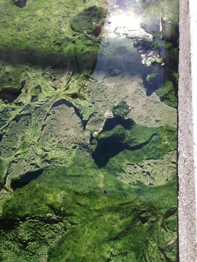 Hotel Terme Principe Abano Terme Kültér fotó